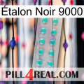 Étalon Noir 9000 28